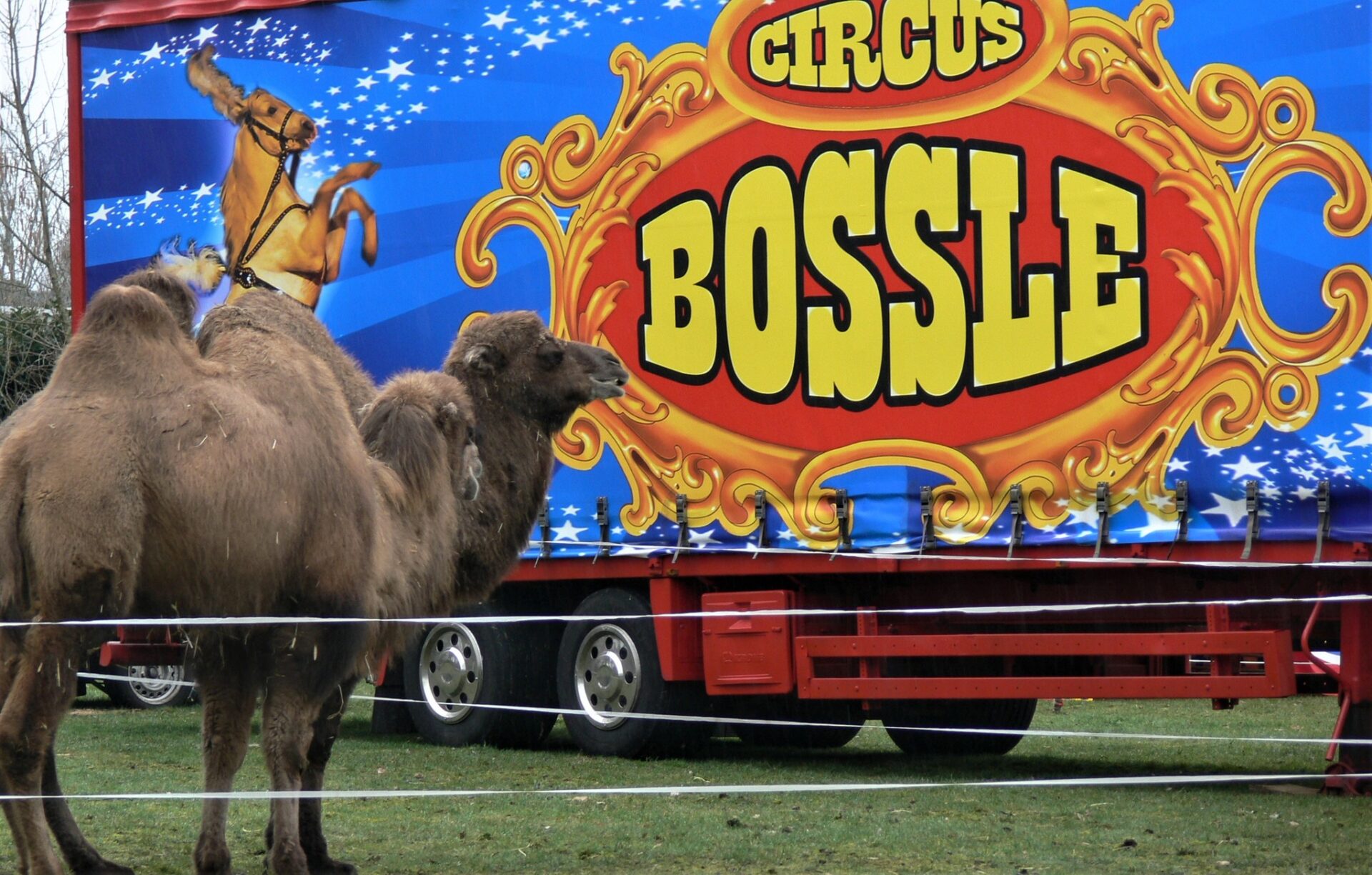 Circus Bossle in Lichtenvoorde